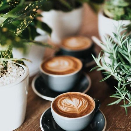 Ganze Ferienwohnung 5 Km Von Erfurt, Mit Kaffeevollautomat, Tv, Wlan, Boxspringbett, Schlafsofa Und Einkaufsmoeglichkeiten, Sehr Gute Anbindung Zur A71 Und A4, Kostenloser Oeff Parkplatz Fuer Pkw Und Transporter Elxleben Exteriér fotografie